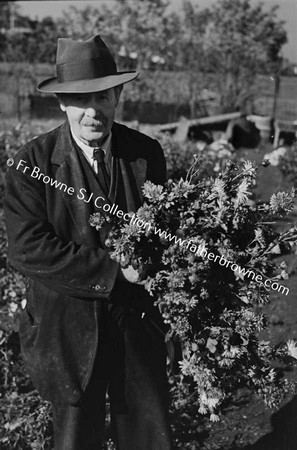 CHRYSANTHEMUM GROWERS